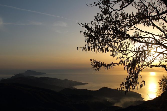 Hiking on Faito Mountain from Sorrento - Guide Time with Enzo Barba: What You Learn on the Way