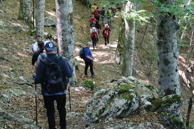 Hiking on Faito Mountain from Sorrento - What’s Not Included (and How to Plan Your Hike)