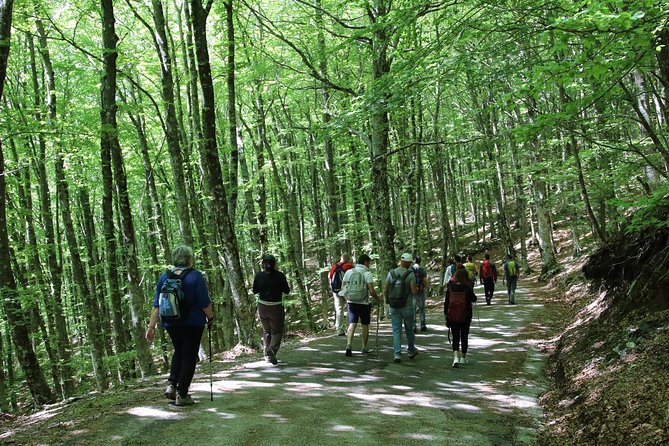 Hiking on Faito Mountain from Sorrento - Faito Peak Views from Cilento to Vesuvius