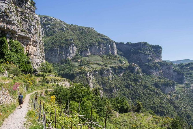 Hiking the Path of the Gods with Enzo: Amalfi Coast Adventure - Price and value: why $83.45 can be a smart spend