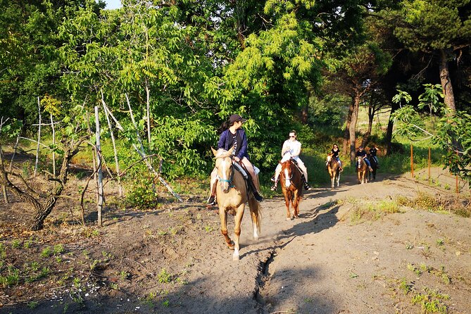 Horseback Riding on Vesuvius - What Happens After the Saddle: Water, Snacks, and Local Wine Moments
