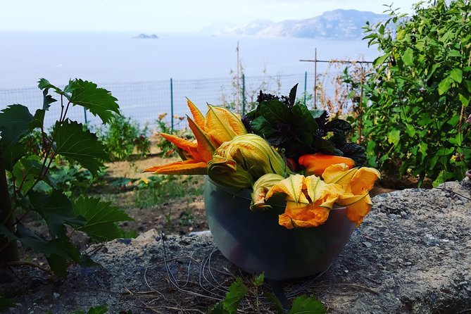 I offer cooking lesson of Amalfi tradition - The best souvenir: written recipes you’ll use
