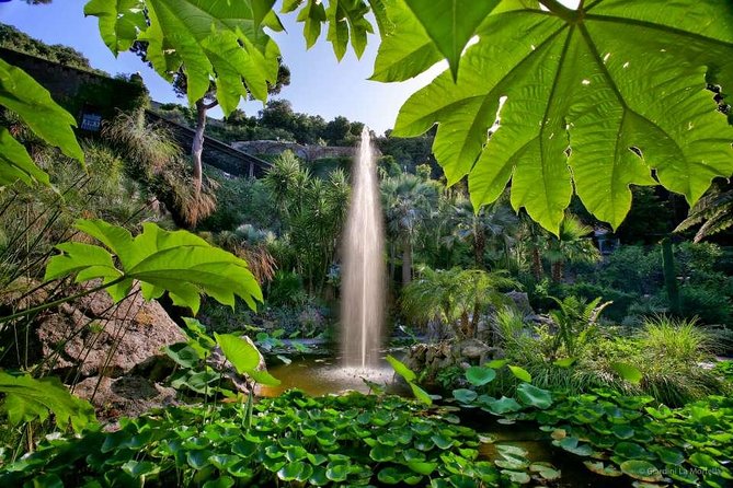 Ischia and La Mortella Gardens - Giardini La Mortella: Two Hours of Coast Views and a Café Reset