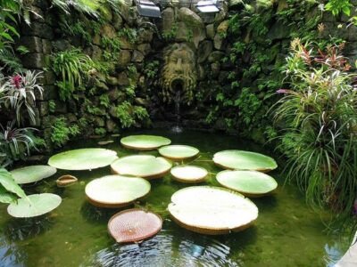 Ischia and La Mortella Gardens - Coach Sightseeing on Ischia: Comfort Over Guesswork