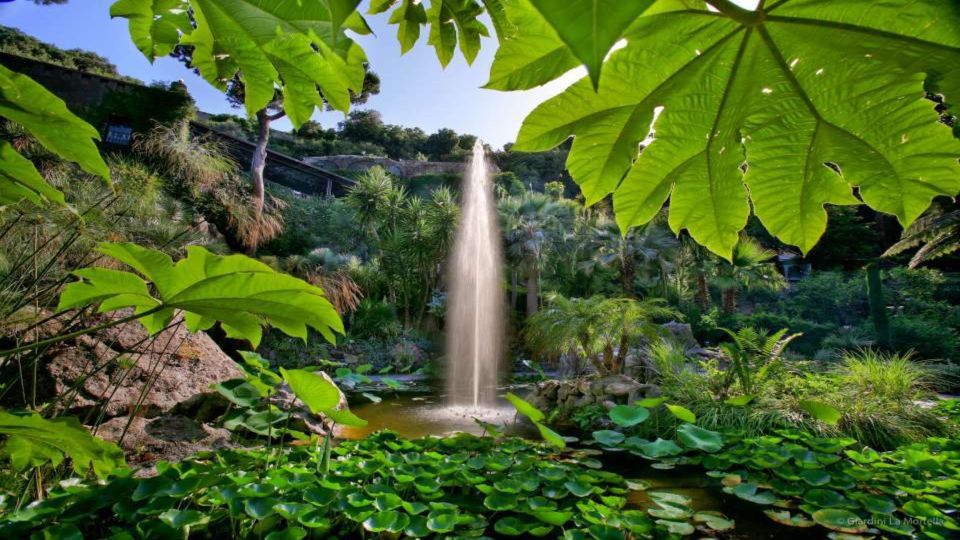 Ischia and Mortella Gardens Full-Day Tour from Sorrento - Key highlights you’ll care about
