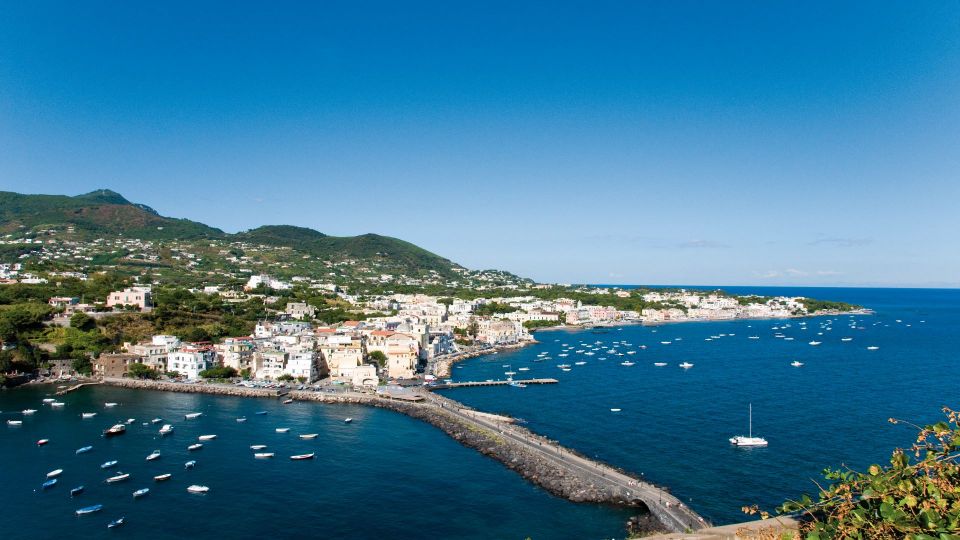 Ischia and Mortella Gardens Full-Day Tour from Sorrento - Price and value: is $132.54 a good deal?