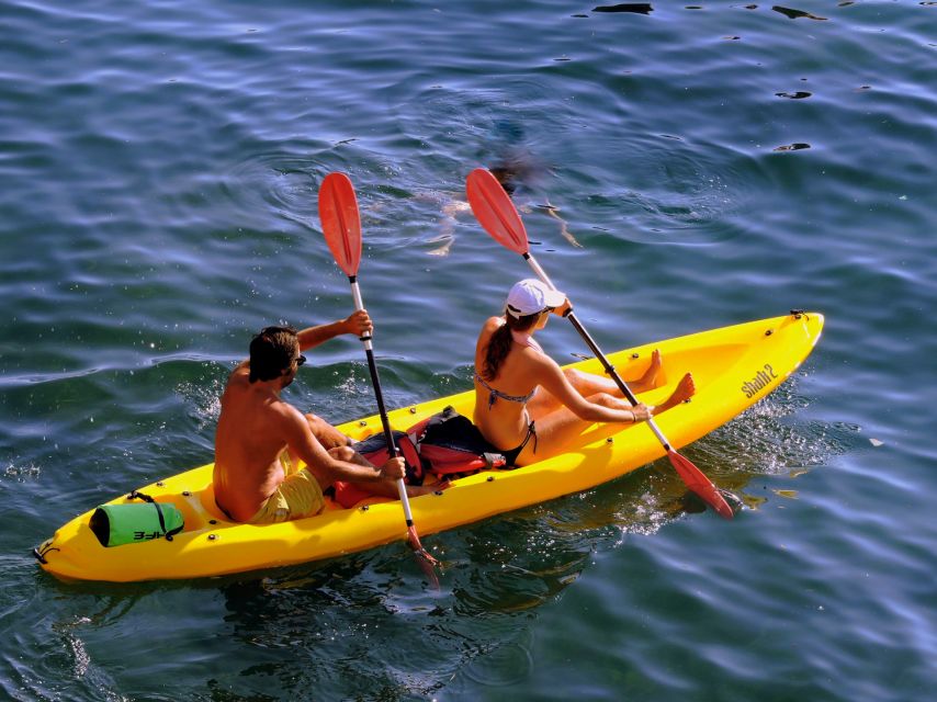 Kayak experience - Should You Book This Sorrento Kayak Tour?