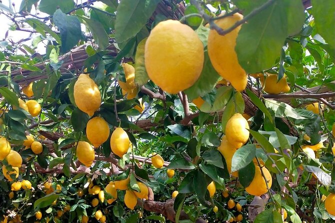 Lemon path hike - Amalfi coast - What’s included (and what you should pack or arrange)