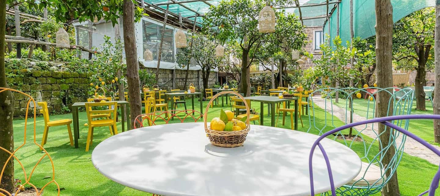 Lemon Tour with Lunch/Dinner - The Tastings: Marmalades, Provolone del Monaco, Limoncello, and Olive Oil