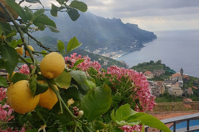 Luxury Tour from Positano to Pompei Ravello Amalfi - Getting From Positano: Private Pickup and an Air-Conditioned Run