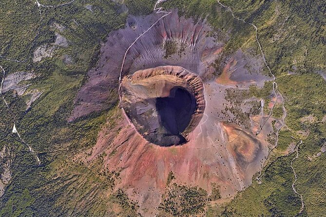 Mount Vesuvius Tour with Entry Ticket & Lunch - Vesuvius National Park on foot: views, plants, and real footing