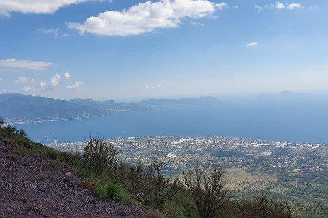Mount Vesuvius Tour with Entry Ticket & Lunch - Sorrentino Winery lunch: local food and a Vesuvius wine tasting
