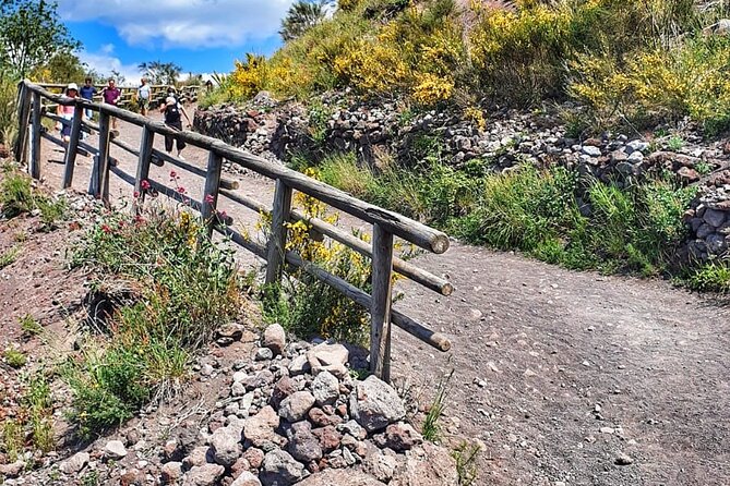 Mount Vesuvius Tour with Entry Ticket & Lunch - Extra stops and small surprises: lemon, chocolate, and possibly limoncello