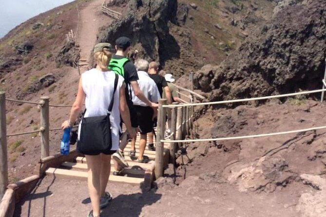 Mount Vesuvius Tour with Entry Ticket & Lunch - Who should book this Vesuvius and wine day