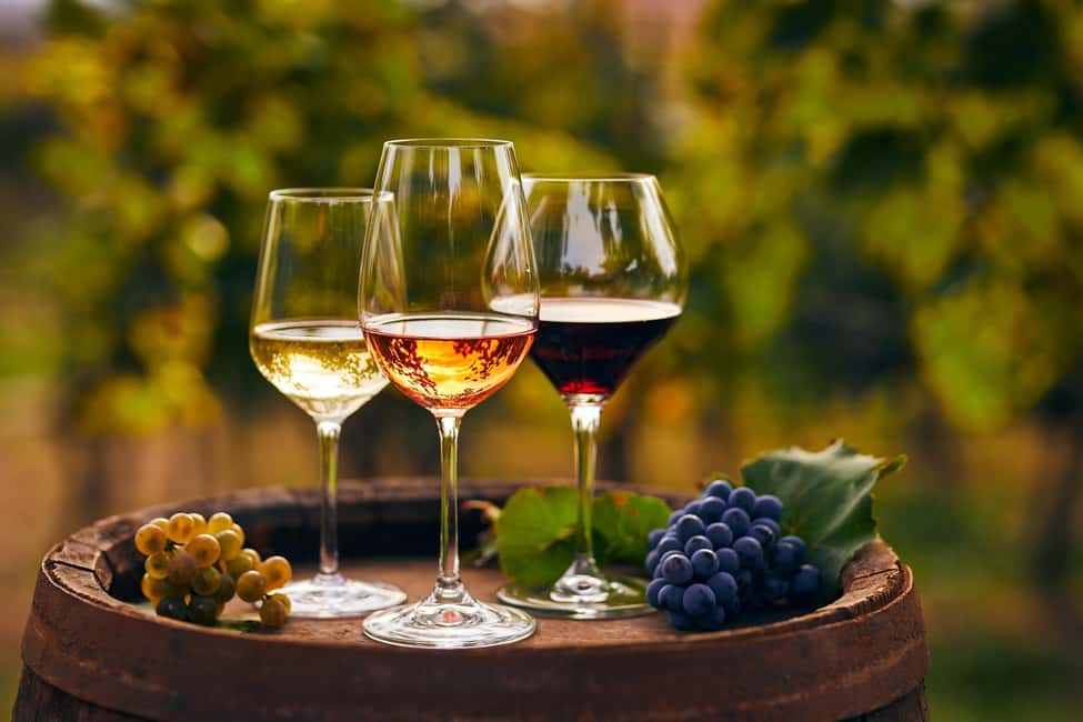 Mount Vesuvius Wine Tasting and Lunch from Pompeii - Key things to know before you go