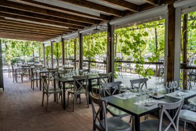 Mount Vesuvius Wine Tasting and Lunch from Pompeii - The vineyard walk: what you actually see and why it’s worth it