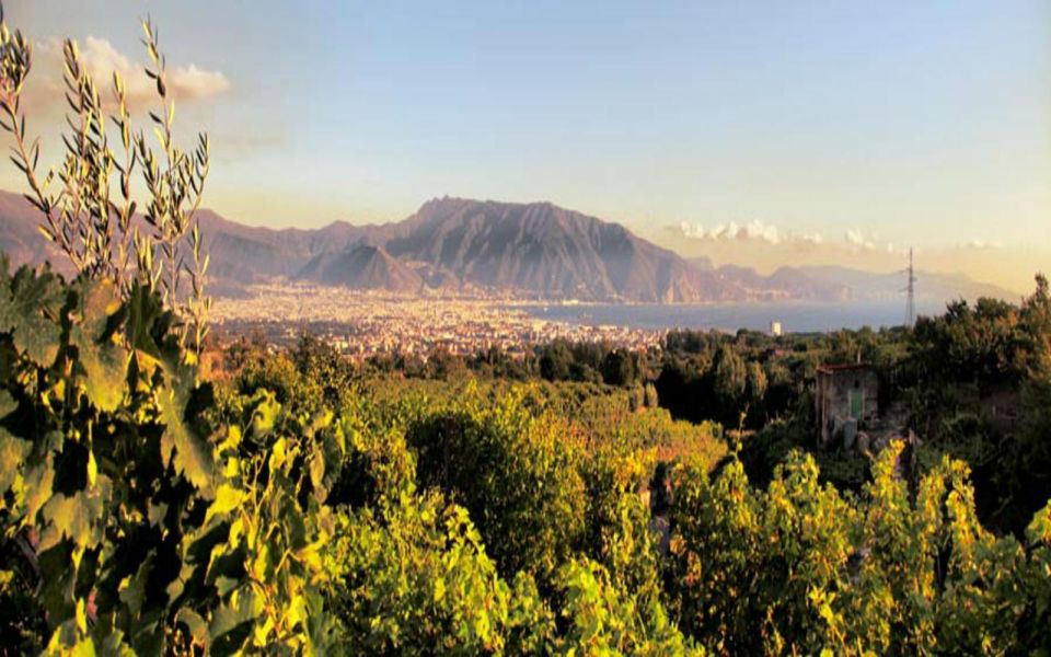 Mount Vesuvius Wine Tasting and Lunch from Pompeii - Book or skip? My decision guide