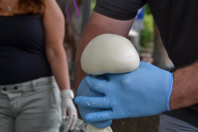 Mozzarella Class or Pizza Class - Transport, tickets, and how to plan a long 9-hour day
