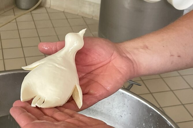 Mozzarella Experience with Tasting in Vico Equense - Getting there and what the 2-hour flow feels like