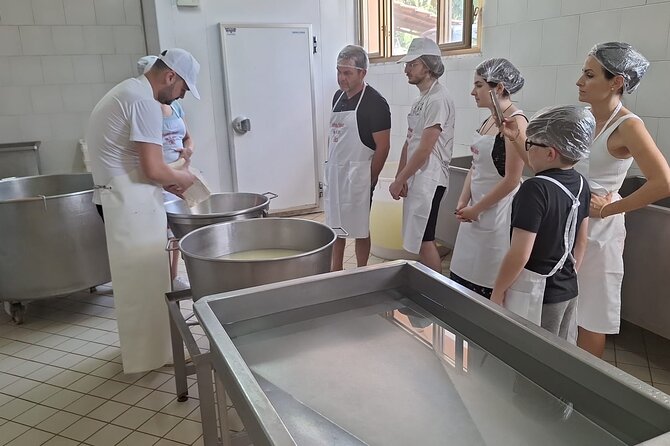 Mozzarella Experience with Tasting in Vico Equense - The farm-table tasting: cured meats, fresh fior di latte, wine, and dessert