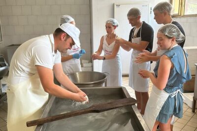Mozzarella Experience with Tasting in Vico Equense - In the lab: the curd process behind fior di latte