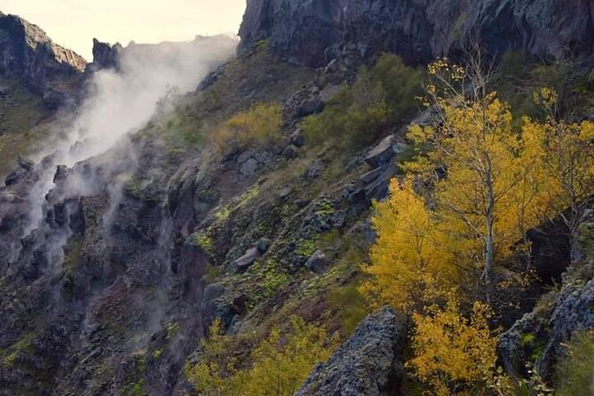 Mt Vesuvius E-Bike Tour - Leaving the Bike Behind: Your Crater Rim Walk