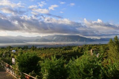 Mt. Vesuvius Wine Tasting and Lunch Experience from Pompeii - From Via Villa dei Misteri to your winery: how the logistics work