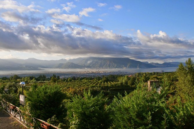 Mt. Vesuvius Wine Tasting and Lunch Experience from Pompeii - From Via Villa dei Misteri to your winery: how the logistics work