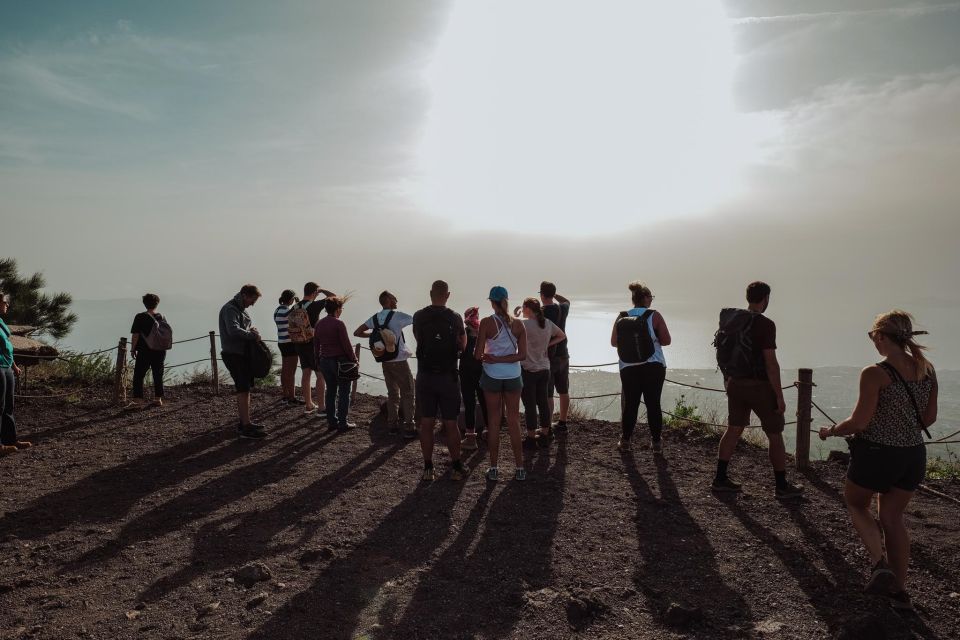 Naples: Pompeii and Mount Vesuvius Entry Tickets and Tour - Should you book this Pompeii and Mount Vesuvius tour?