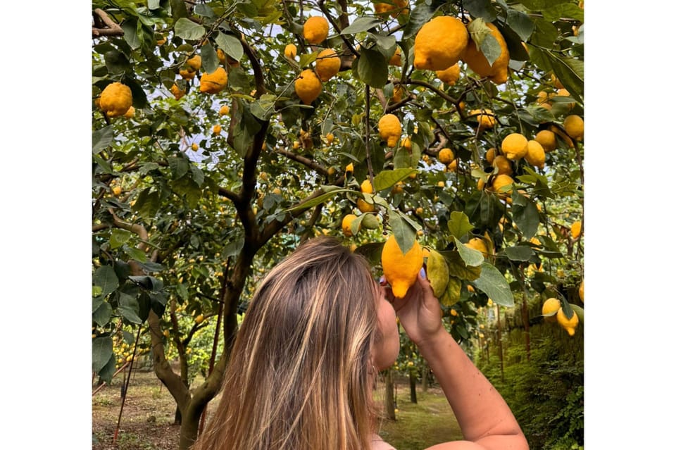 Nonno Mario Lemon Tour - A two-hour lemon education with pickup that saves your energy