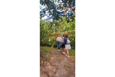 Nonno Mario Lemon Tour - Arriving at the farm: the limoncello spritz moment sets the tone