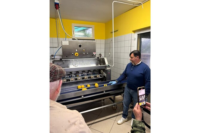Nonno Mario Sorrento Lemon tour - Key things to know before you go
