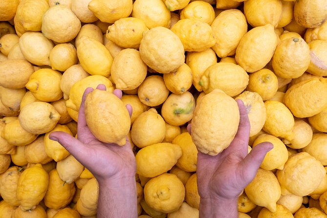 Nonno Mario Sorrento Lemon tour - From Sorrento Pickup to the Old Lemon Grove