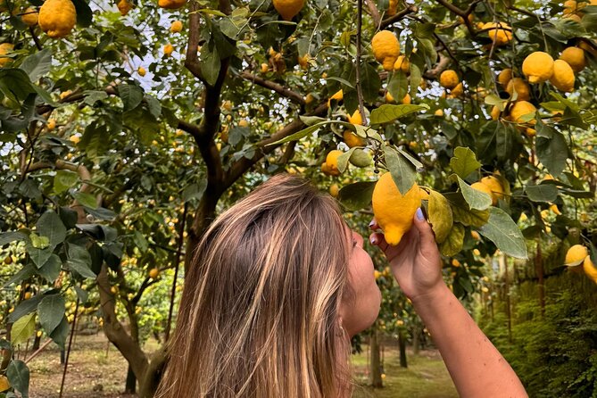 Nonno Mario Sorrento Lemon tour - Meeting Chef Carmine and Finishing with Dessert and Limoncello