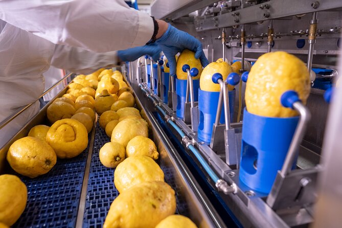 Nonno Mario Sorrento Lemon tour - What’s Included (and What You’ll Pay Extra For)