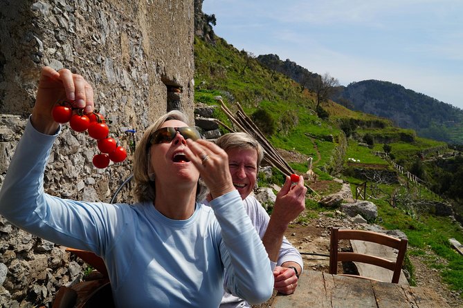 On the Path of the Gods: private trekking and shepherd snack - Price and value: what $346.93 per person buys you