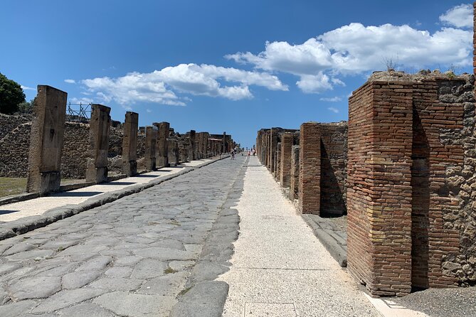 Once upon a time Pompeii 2 and a half hour tour - Who this Pompeii tour is best for