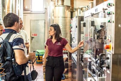 Organic Wine Tasting & Lunch on Vesuvius with Transfer from Sorrento Peninsula - From Sorrento Peninsula: the transfer part that makes or breaks the day