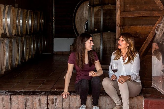 Organic Wine Tasting & Lunch on Vesuvius with Transfer from Sorrento Peninsula - Price and value: is $372.32 for 4 hours fair?