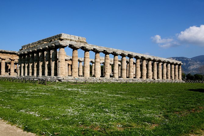 Paestum, Buffalo Mozzarella tasting and light lunch private tour - The AC Car and On-board Wi‑Fi make the long route easier