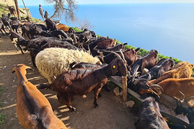 Path of Gods Hike, with Food Experience at Shepherd's Hut - The lunch stop that turns the day into a memory
