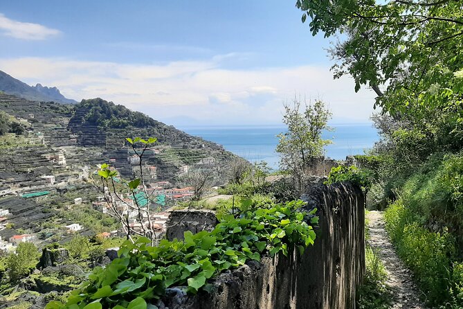 Path of the Lemons - Key Things You’ll Notice on This Lemon Coast Hike