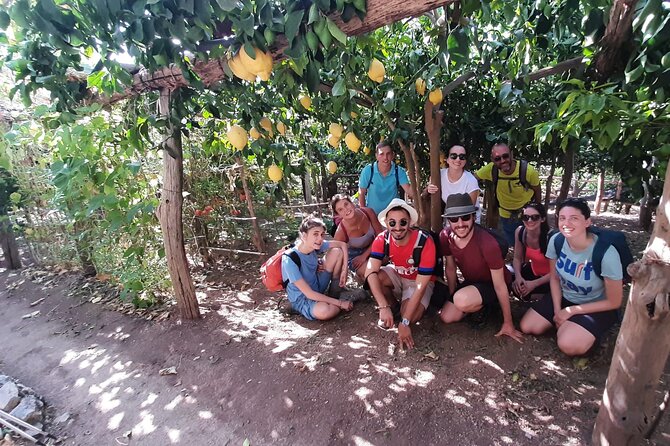 Path of the Lemons - Stop 1: The Lemon Grove Trek on the Amalfi Coast