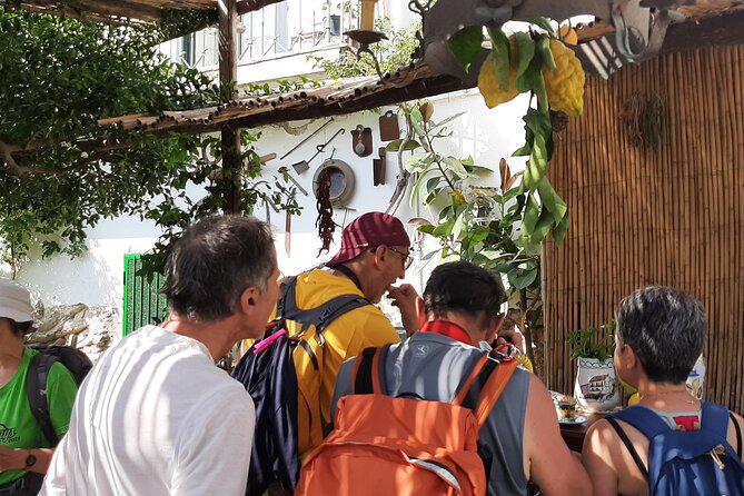 Path of the Lemons - Stop 3: Sentiero dei Limoni Through the Lemon Groves