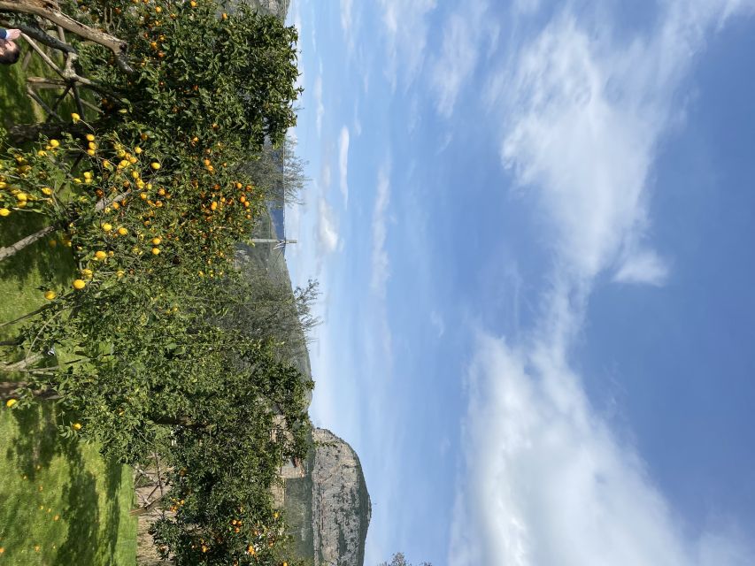 Piano di Sorrento: Cooking Class with Food Tasting and Wine - The cooking area: handmade pasta and sauce from seasonal vegetables