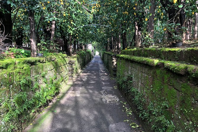 Piano di Sorrento Walking Tour with a Local - Via Ponte di Mortora: walking an older route through a tufa valley