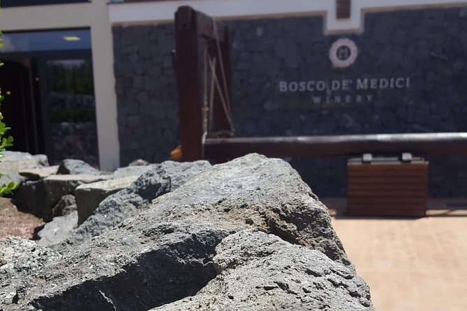 Pompei Archeological site and Wine tasting Experience - From ruins to wine: where the tasting fits after Pompeii