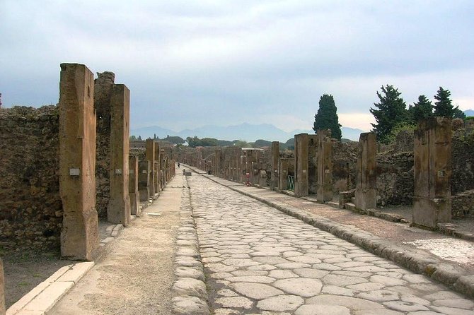 Pompei Archeological site and Wine tasting Experience - Price and value: what $1,381.61 per person is buying