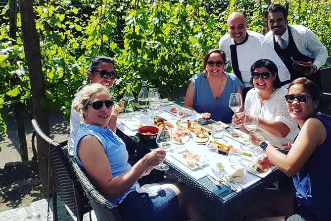 Pompei Archeological site and Wine tasting Experience - Should you book this Pompeii and wine tasting tour?