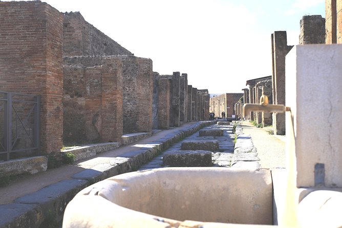 Pompeii and Herculaneum Private Tour with Native Guide and Skip the Line Tickets - Herculaneum Parco Acheologico di Ercolano: the second half of the story